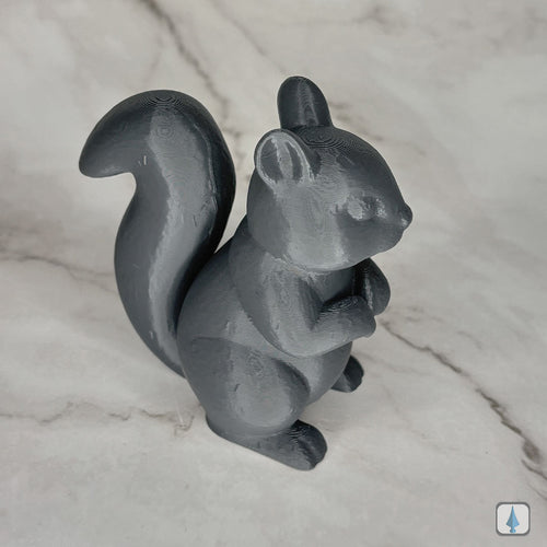 Eichhörnchen Pico - Fencies