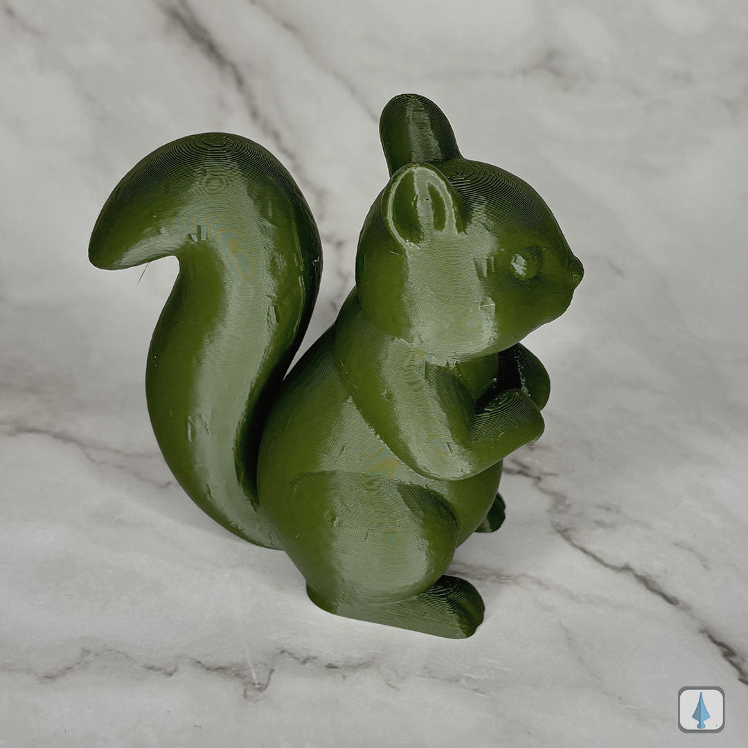 Eichhörnchen Pico - Fencies