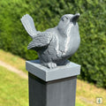 Vogel Matz - Fencies