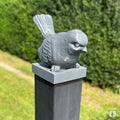 Vogel Moritz - Fencies